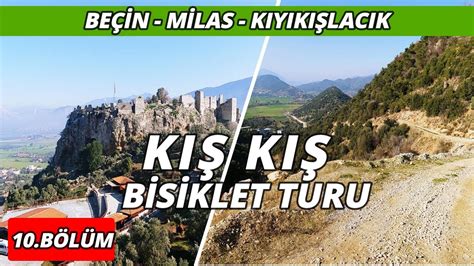  Julida Bir Kırkayak Türü! Çok Bacaklı Dostlarımızın Gizli Dünyasına Yolculuk